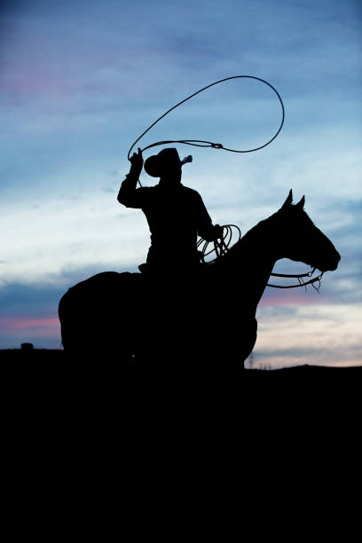 sylwetka kowboja roping na jego konia - cowboy cowboy hat hat summer zdjęcia i obrazy z banku zdjęć