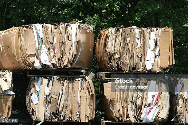 Reciclagem - Fotografias de stock e mais imagens de Papelão - Papelão, Caixa, Correia