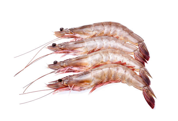 istock Raw shrimps isolated on white background 920214554