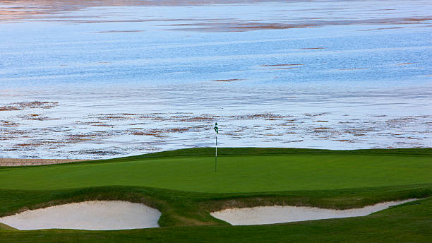 Green by the sea  monterey bay stock pictures, royalty-free photos & images