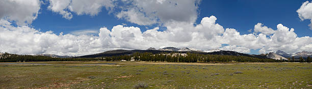 istock Panoramic view of Tuolumne Meadows in Yosemite 92023593