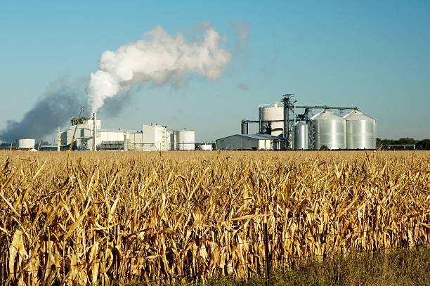 etanolo 3 - biofuel foto e immagini stock