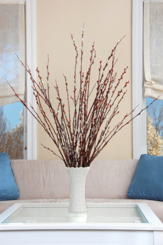 A vase of spring's first pussy willows in an elegant living room.