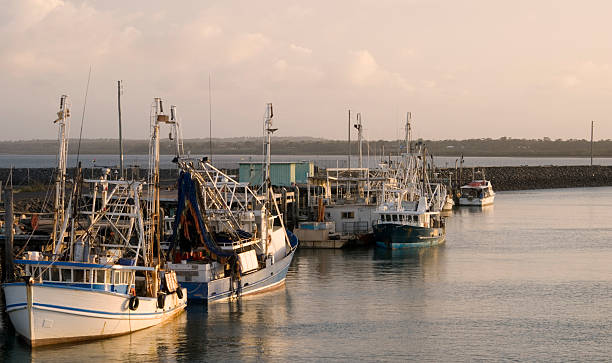 istock Fishing boats in Hervey Bay/Australia 92025511
