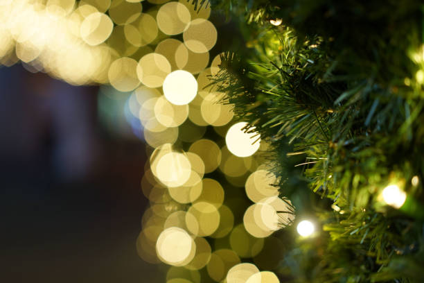 istock Festive evening against a background of blurry lights. 920255468