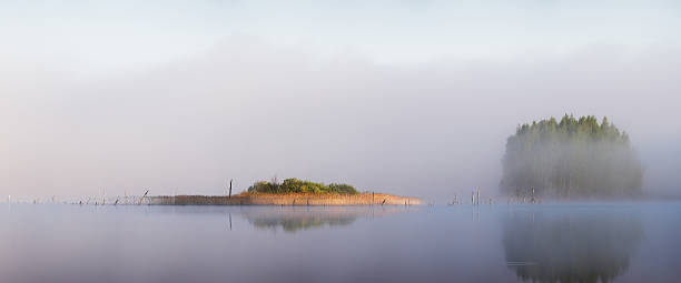 Panorama of misty lake stock photo
