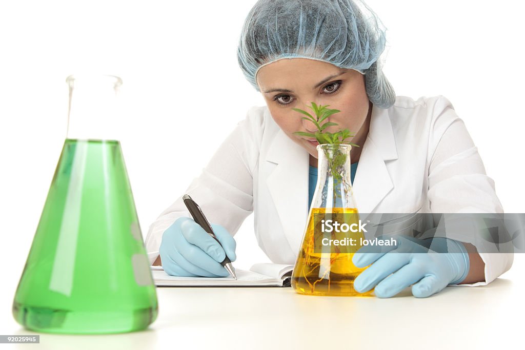 Scientist botanist studying plant  Adult Stock Photo