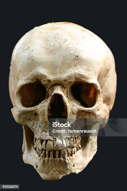 Human Schädel Stockfoto und mehr Bilder von Totenkopf - Totenkopf, Menschlicher Schädel, Fotografie