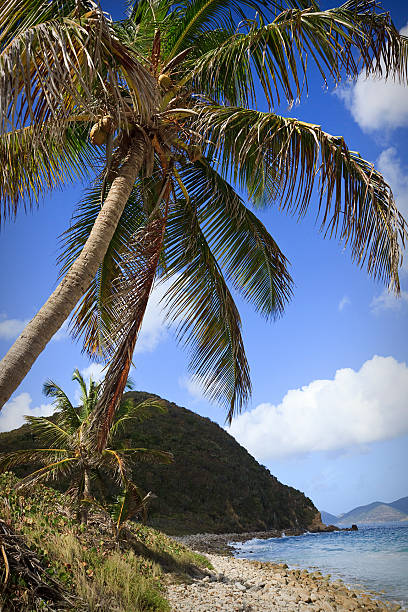 istock Beach Down South BVI Caribbean Sea Tortola 92026355