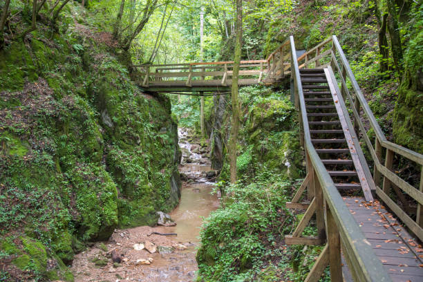 istock Johannesbachklamm in Lower Austria 920263808