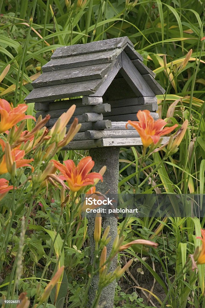 Casita de pájaros en Tiger Lilys - Foto de stock de Alimentador de pájaros libre de derechos