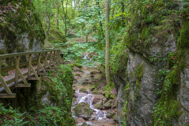 istock Johannesbachklamm in Lower Austria 920268198
