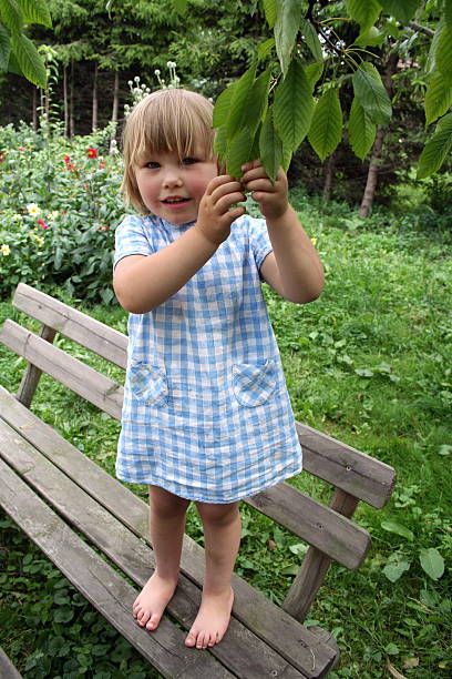 istock Girl And The Cherry-Tree 92027116
