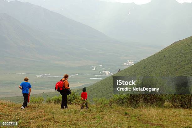 Wandern In Yukon Stockfoto und mehr Bilder von Yukon - Yukon, Yukon River, Strauch