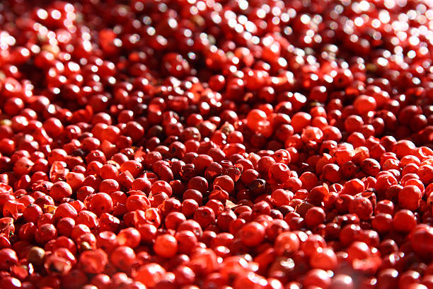 rosa/rojo peppercorns especias en un fondo - pink pepper fotografías e imágenes de stock