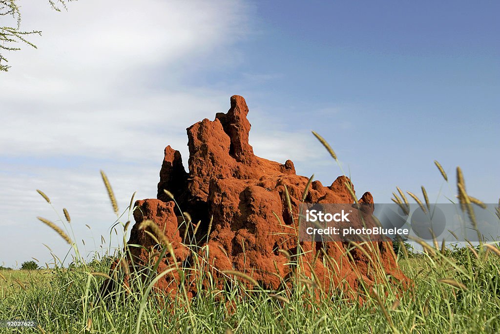 Termite Mound im Tarangire Nationalpark, Tansania, Afrika - Lizenzfrei Afrika Stock-Foto