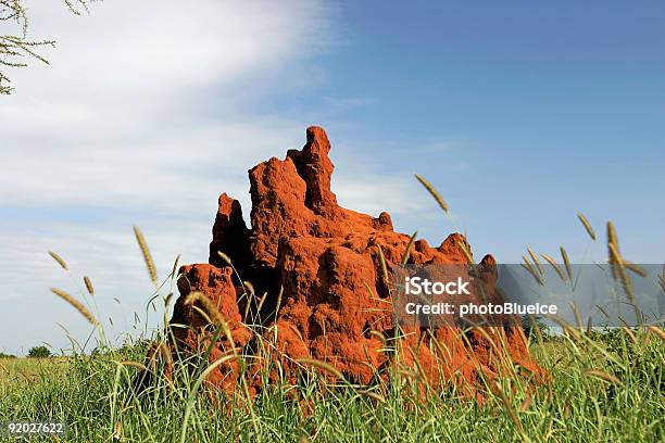 Termite Mound Im Tarangire Nationalpark Tansania Afrika Stockfoto und mehr Bilder von Afrika