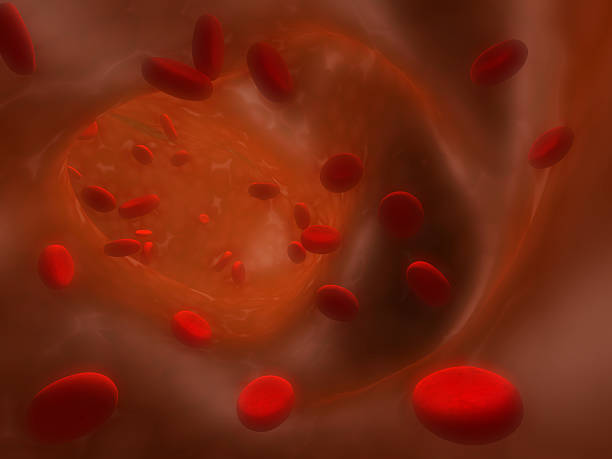 istock Many erythrocytes, floating on an artery 92027637