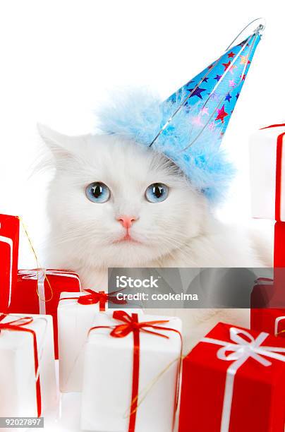 White Cat With Gifts Stock Photo - Download Image Now - Christmas, Domestic Cat, Animal
