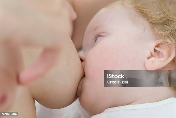 Lactancia Del Recién Nacido Bebé Foto de stock y más banco de imágenes de Amamantar - Amamantar, Adulto, Alimento