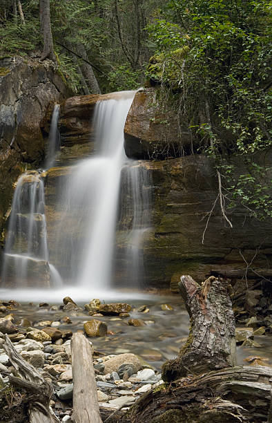 istock Beautiful Waterfall surounded by forest British Columbia Canada 92028588