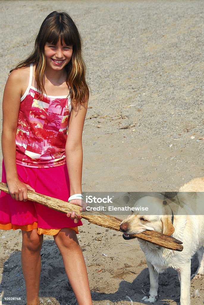 Girl play dog  Animal Stock Photo