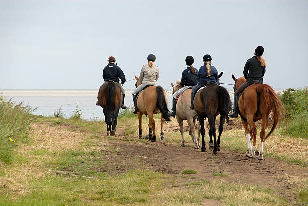 Group of riders at the North Sea  all horse riding stock pictures, royalty-free photos & images