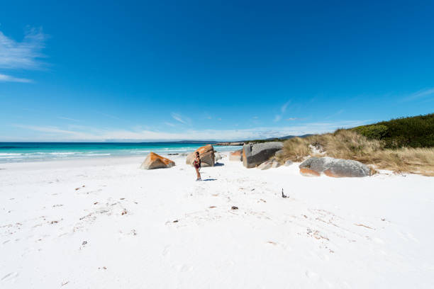 istock Bay of Fires, Tasmania, Australia 920288992