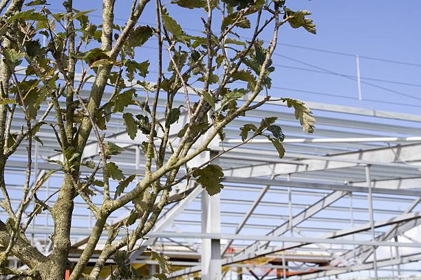 istock Frame Of New Factory Construction And Tree Against Blue Sky 92029394