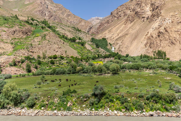 istock Nice view of Pamir in Tajikistan 920294836