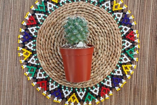 decoration with african ndebele theme and succulent plant om beaded background