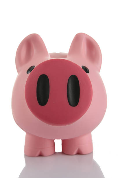 istock Pink piggy / coin bank 92030027