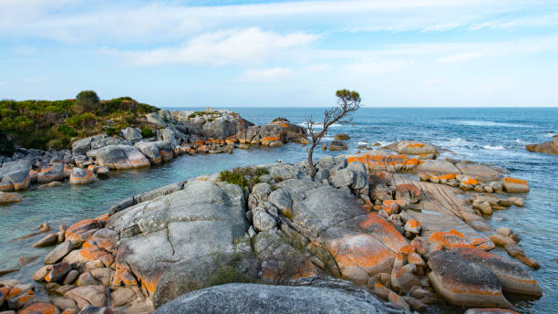 istock Bay of Fires, Tasmania, Australia 920301866