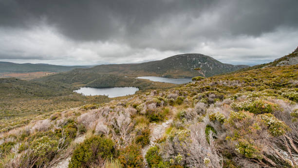 istock Cradle Mountain, Tasmania, Australia 920306908