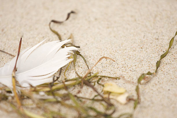 Beach stock photo