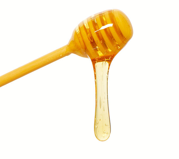 istock isolation of honey dripper 92030857