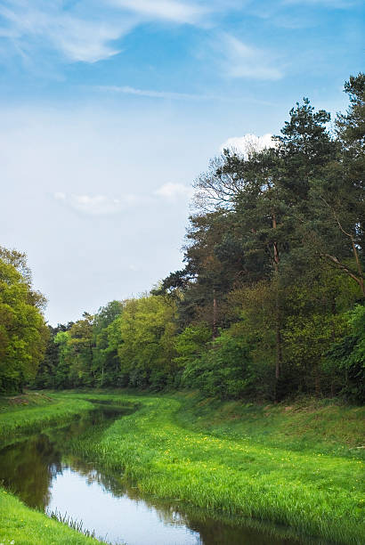 istock Beautiful piece of nature. 92030871