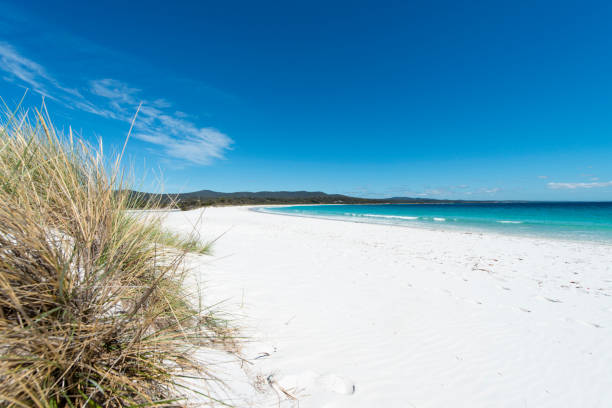 istock Bay of Fires, Tasmania, Australia 920309520