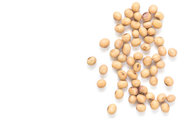 istock Soy beans isolated on white background 920312426