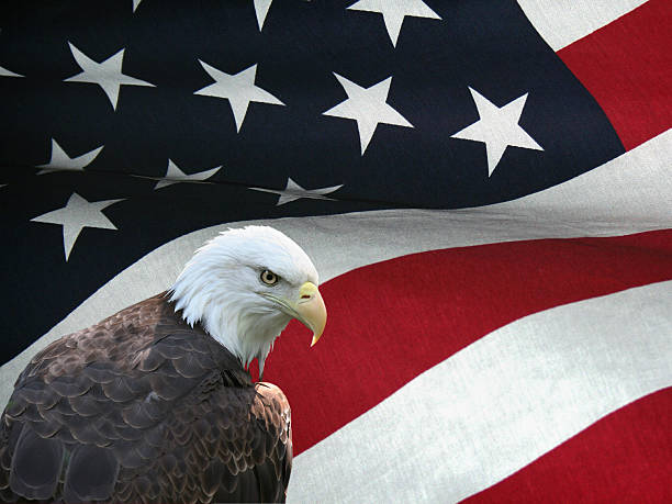 대머리독수리 있는 거친 질감 섬유 칠레식 플랙 배경기술 - symbol military star eagle 뉴스 사진 이미지