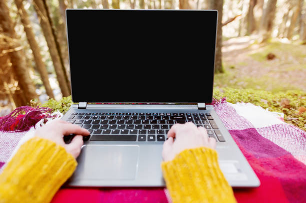 istock A mock-up image of a woman's hand using and typing on a laptop with a blank black desktop on a plaid grass lying in the forest. The concept of freelancing in freedom from a permanent place of work and work in outdoor travels 920312836