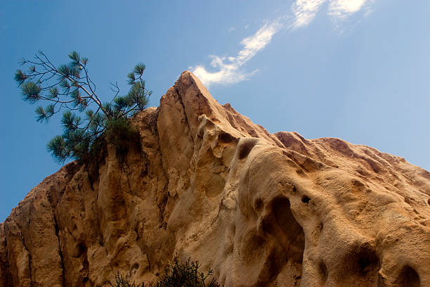 California San Diego Landscape Torrey Pines State Park Rock Formation The peak of the orange hued geological formation is set against a blue sky in San Diego's Torrey Pines State Park. A torrey pine grows out of the rock. torrey pines state reserve stock pictures, royalty-free photos & images
