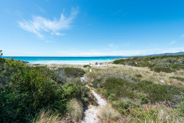 istock Bay of Fires, Tasmania, Australia 920317744