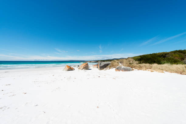istock Bay of Fires, Tasmania, Australia 920317784