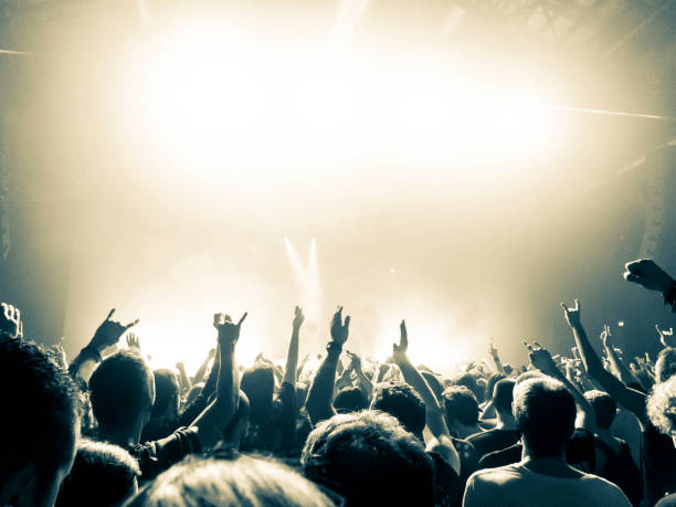 istock Concert crowd in front of a live stage 920322546