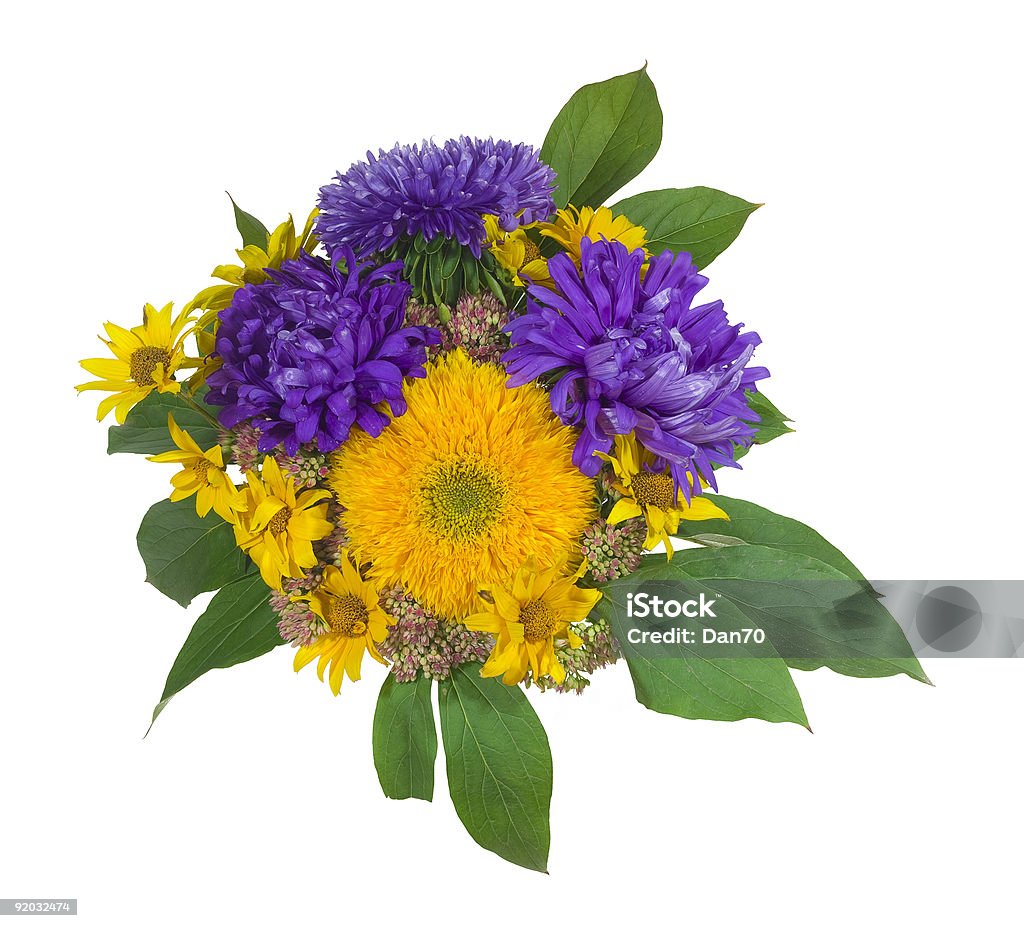 Bouquet - Foto stock royalty-free di Aster