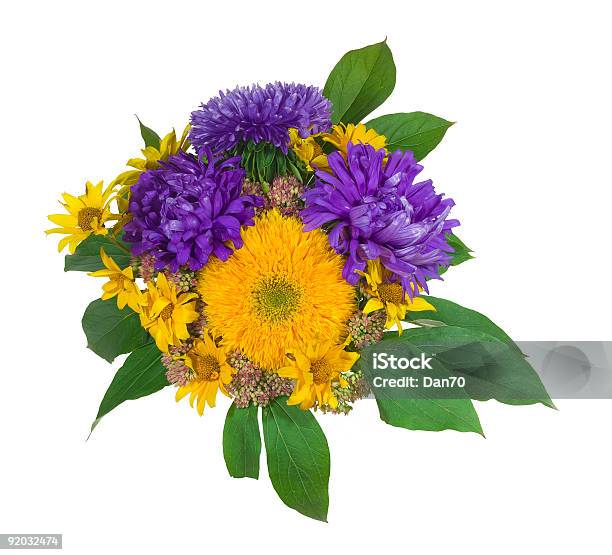 Bouquet - Fotografie stock e altre immagini di Aster - Aster, Autunno, Bellezza