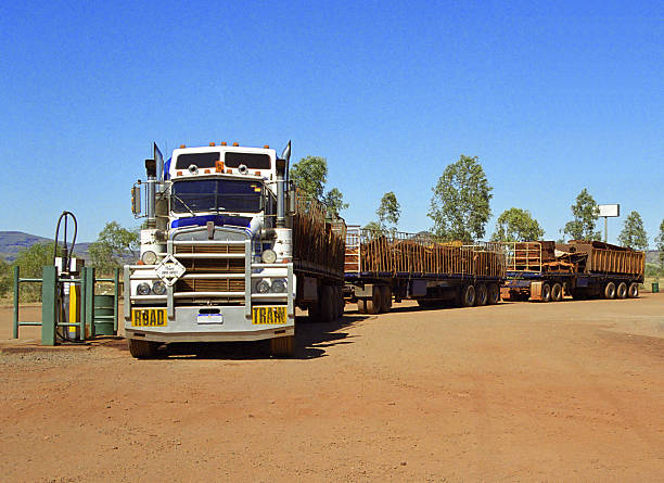 istock Huge road train carrying supplies 92032584