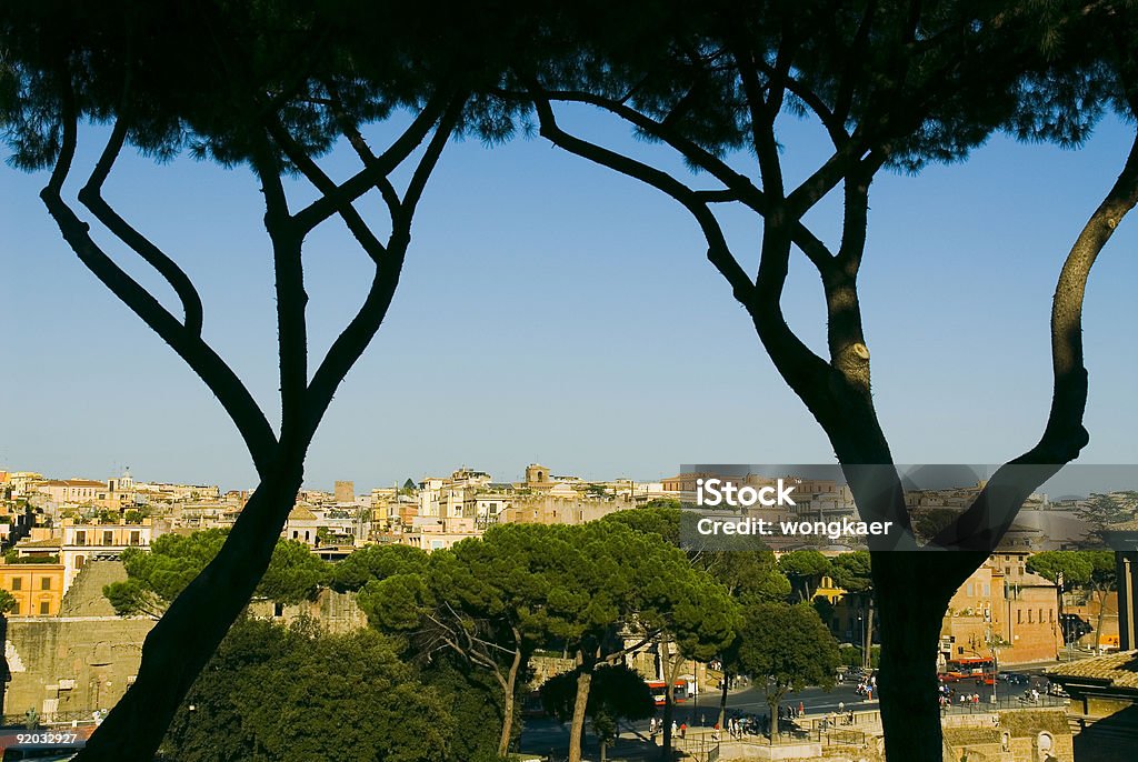 Vista su Roma - Foto stock royalty-free di Pino domestico