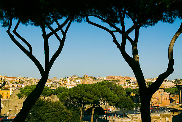 rome view - parasol pine - fotografias e filmes do acervo